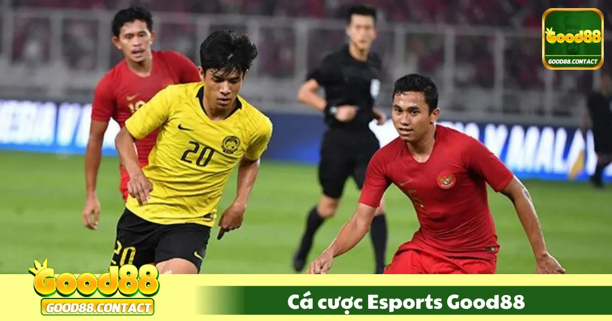 Cá Cược Esports Good88 - Trải Nghiệm Cá Cược Trong Game 2 Cá Cược Esports Good88 Là Gì? Tìm Hiểu Các Loại Kèo Phổ Biến