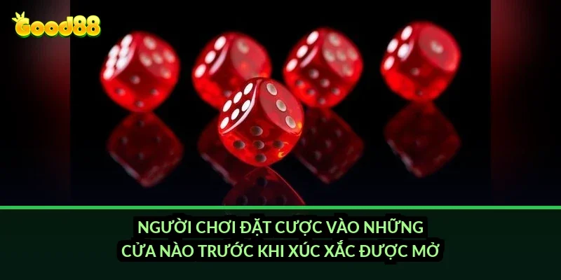 Người chơi đặt cược vào những cửa nào trước khi xúc xắc được mở?